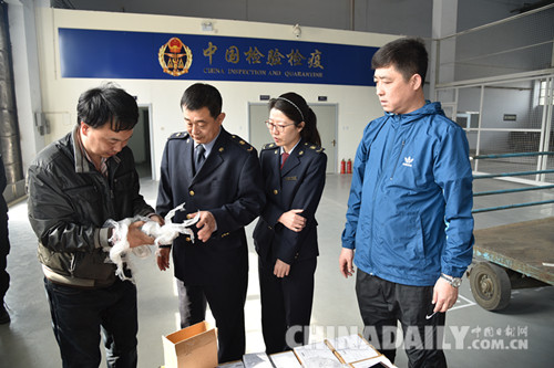 石家莊正定機(jī)場(chǎng)中郵國(guó)際快件分揀中心成功運(yùn)營(yíng)