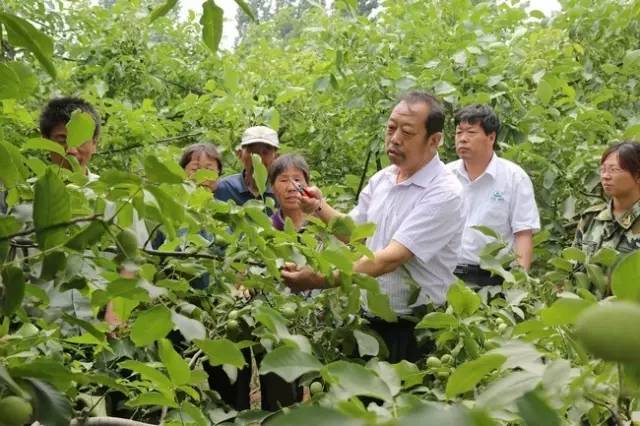 一個(gè)“農(nóng)民教授”，為何感動(dòng)了百萬(wàn)河北人