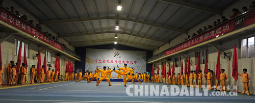 2016年河北省農(nóng)民傳統(tǒng)武術(shù)比賽在文安縣拉開帷幕