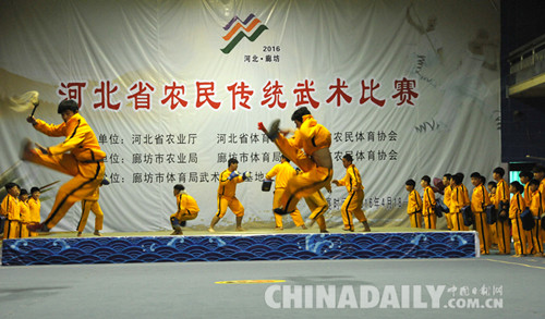 2016年河北省農民傳統(tǒng)武術比賽在文安縣拉開帷幕