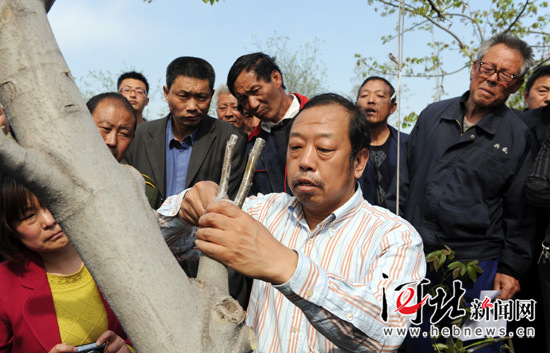 太行山作證——追記河北農(nóng)業(yè)大學(xué)教授李保國
