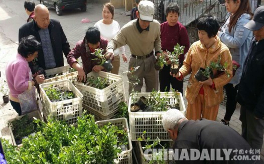 唐山文北街道“三個注重”提升轄區(qū)世園會周邊環(huán)境
