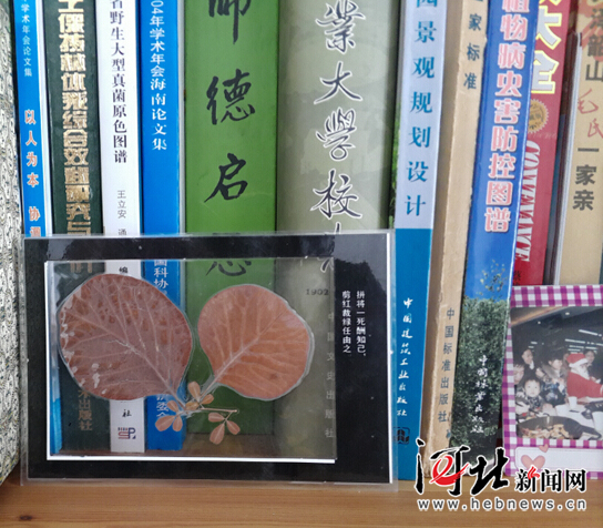 【網(wǎng)絡媒體走轉(zhuǎn)改】追記李保國教授：心之所在 魂歸太行