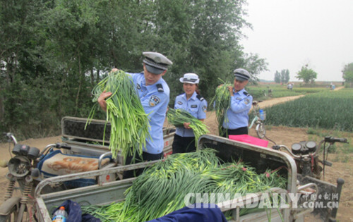 邯鄲雞澤交警下地“打蒜薹”扎實開展“兩學(xué)一做”活動
