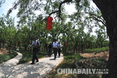滄州黃驊舉辦堤柳百年棗林農(nóng)民詩會