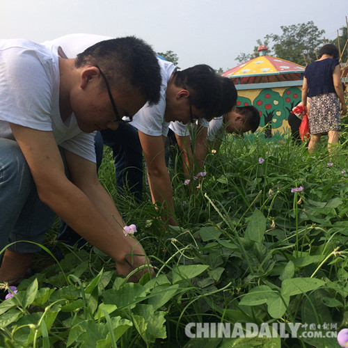石家莊鐵道大學(xué)暑期社會(huì)實(shí)踐走進(jìn)保定淶水