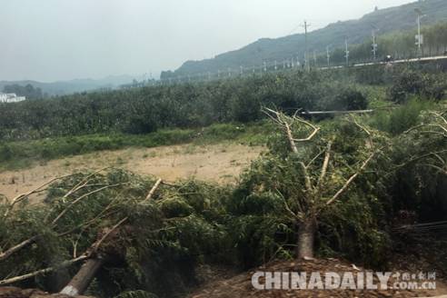 河北省企業(yè)社會責任促進會籌20萬元救災物資赴邢臺災區(qū)