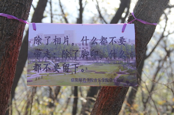 信陽師范學(xué)院音樂學(xué)院開展黨員環(huán)保社會(huì)實(shí)踐活動(dòng)