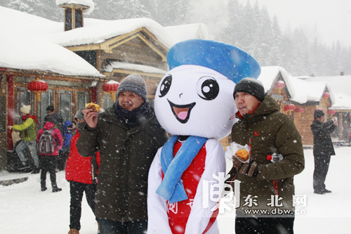 百家旅行社和旅游電商體驗龍江冰雪游 為冰雪之冠“點(diǎn)贊”