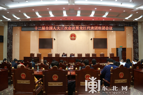 出席十二屆全國人大三次會(huì)議黑龍江代表團(tuán)舉行組團(tuán)會(huì)議