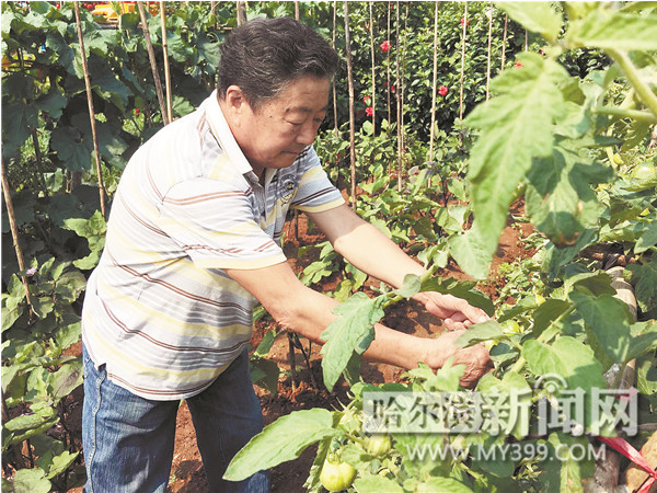 哈爾濱七旬老夫妻定制百萬房車 浪漫攜手游遍半個(gè)中國