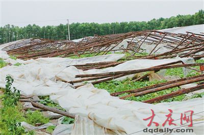 黑龍江肇源遭大風(fēng)襲擊風(fēng)力超10級(jí) 損失超千萬(wàn)元