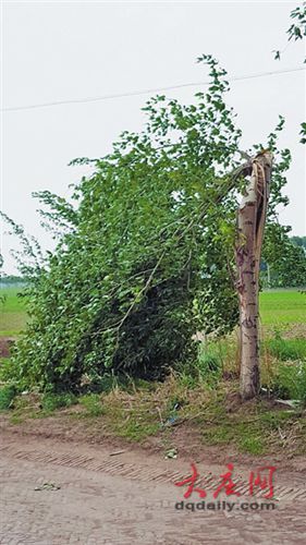黑龍江肇源遭大風(fēng)襲擊風(fēng)力超10級(jí) 損失超千萬(wàn)元