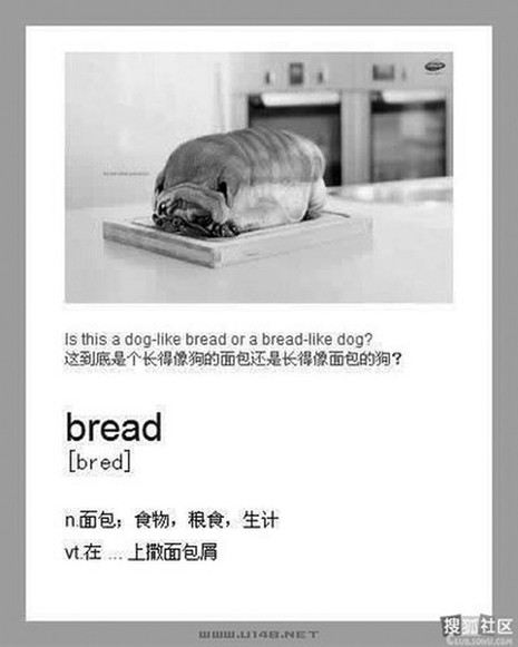 另類單詞速記法瘋傳 網(wǎng)友高呼“收進教材”