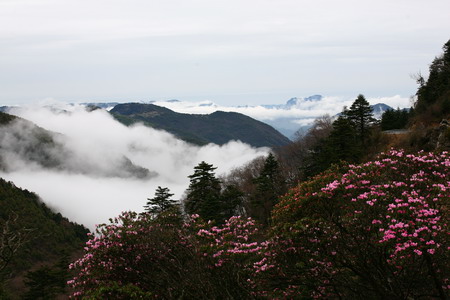 神農(nóng)架大九湖景區(qū)重新開(kāi)放