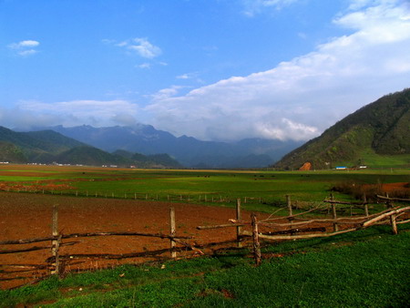 神農(nóng)架大九湖景區(qū)重新開(kāi)放