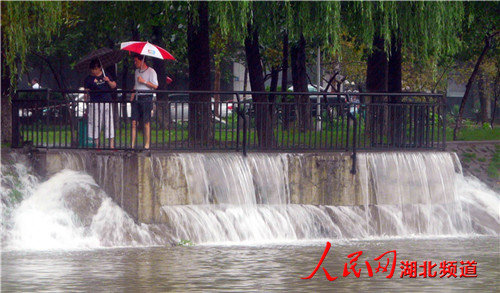 漢口西北湖：雨水入湖似瀑布