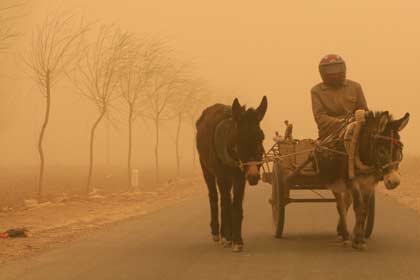 A farmer makes his way through a heavy sand storm in Minqin County, northwest China's Gansu Province April 10, 2006. A strong sandstorm hit northwest China on Monday, killing one person in Xinjiang Uygur Autonomous Region and compelling dozens of trains to halt for safety reasons. [Newsphoto]