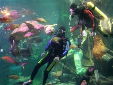  'football' game is held under water in Ocean World Park of Donghu Lake in Wuhan, central China, on Tuesday June 20, 2006. Two teams are respectively composed of marine creatures and two divers, and the referee is a 'mermaid' dressed up by a diver, said China's Xinhua news agency, which distributed this photo. (AP Photo