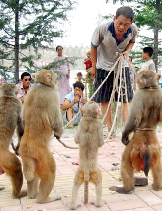 A ringmaster plays with a monkey during a circus in Xuzhou, East China's Jiangsu Province, July 20, 2006. [newsphoto]