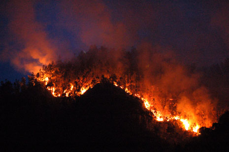 A fire at a forest in Luzhou, Southwest China's Sichuan Province early Thursday, August 4 2006. Some 200 soldiers,firemen and policemen were mobilized to control the fire with the help of hundreds of local residents.The fire was nearly extingquished by Thursday night. [Cao Weibing/Xinhua] 