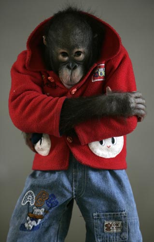 nanning,goat,monkey