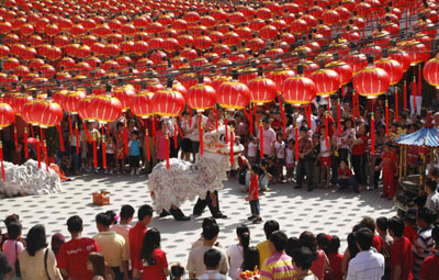 ,chinese lunar new year,year of the pig,
