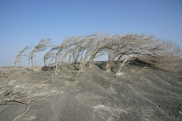 Tide of progress sees water levels fall Tide of progress sees water levels fall