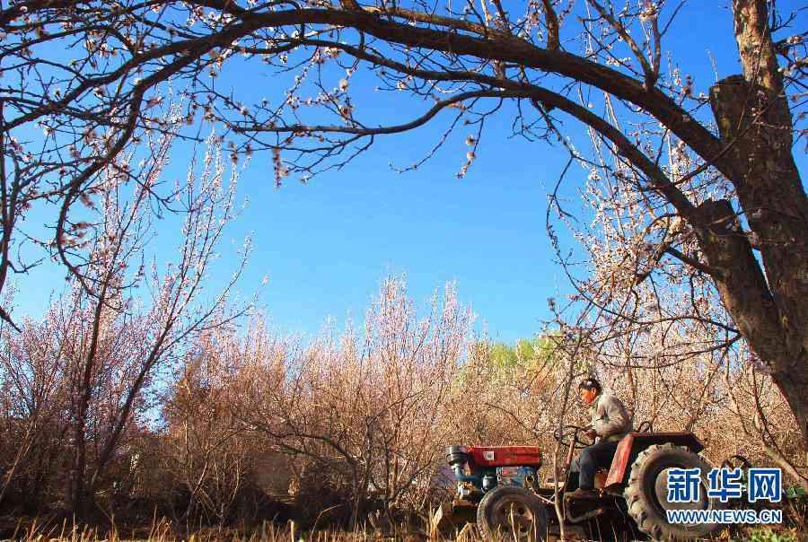 April blooms across China