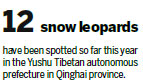 Infrared camera captures rare leopard