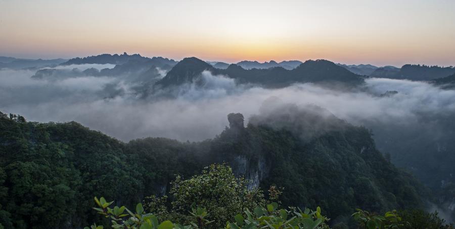 S China's karst climbs to World Heritage List