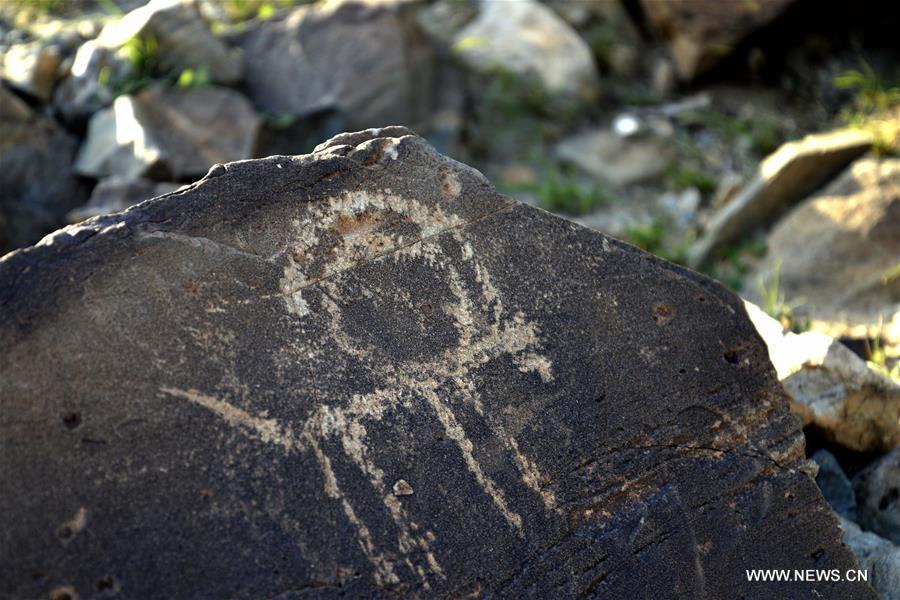 Over 1,000 cliff paintings found in Inner Mongolia