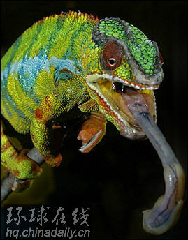 美科學(xué)家開(kāi)發(fā)出“變色衣” “隱身夢(mèng)”更近一步