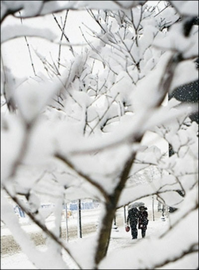 民生百態(tài)：美中西部暴風雪下的快樂與痛苦
