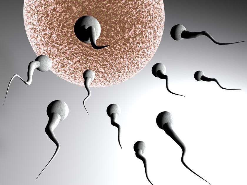 澳大利亞精子庫告急 醫(yī)院做廣告呼吁男性慷慨解“褲”