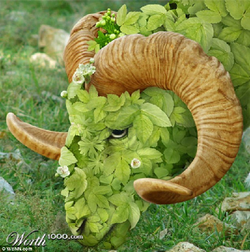 知名藝術網(wǎng)站擺圖片設計擂臺賽（組圖）