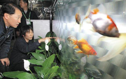 G20：金魚當(dāng)“警衛(wèi)”酒店搶商機(jī) 倡導(dǎo)單雙號限行