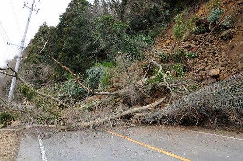 日本發(fā)生最大級別地震 核電站周圍居民被疏散
