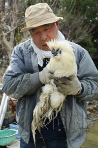 日本地震近一個月奇跡頻現(xiàn) 75歲老翁獲救、“雞堅強”生還