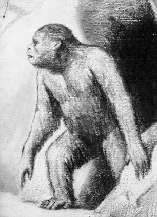 俄官方稱發(fā)現(xiàn)雪人存在“確鑿證據(jù)” 質(zhì)疑者斥為炒作