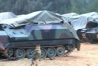 金門(mén)臺(tái)軍裁員兵不敷用 軍犬站哨守戰(zhàn)車(chē)