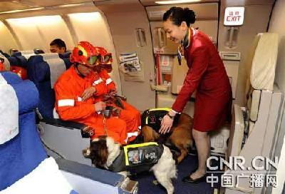 專家：中國軍隊(duì)?wèi)?yīng)準(zhǔn)備擔(dān)負(fù)更多境外非戰(zhàn)爭任務(wù)