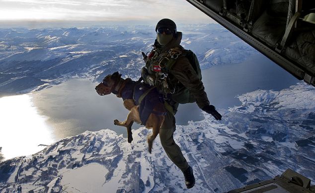 特種兵帶嗅探犬從一萬英尺高空練習跳傘