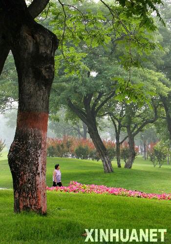  這是這是市民在北京東便門附近的明城墻遺址公園綠地休閑（2007年6月28日攝）。 