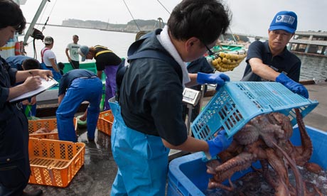 日本福島未來10年無魚可吃？最新研究發(fā)現(xiàn)附近四成魚放射性超標