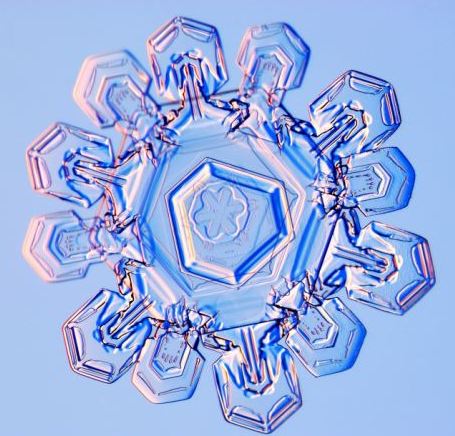 怎一個美字了得！美國科學(xué)家?guī)闶フQ看雪花(圖)