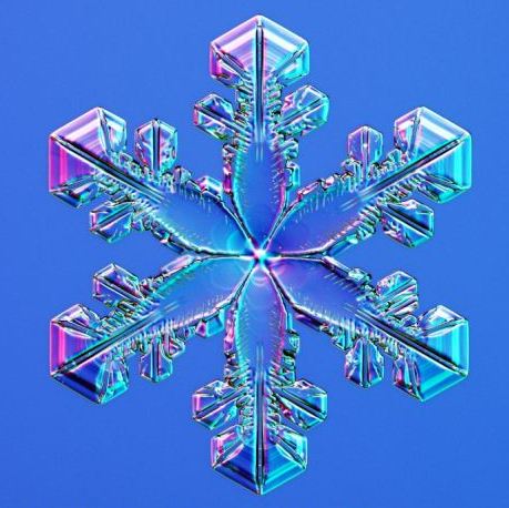 怎一個美字了得！美國科學(xué)家?guī)闶フQ看雪花(圖)