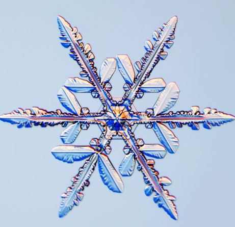 怎一個(gè)美字了得！美國科學(xué)家?guī)闶フQ看雪花(圖)