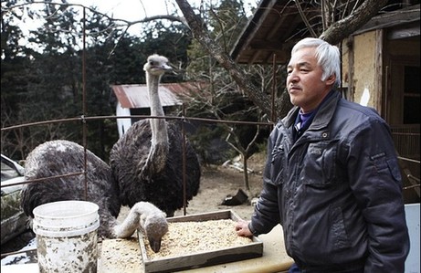 日本農民為照顧動物堅守核輻射區(qū) 生命堪危 