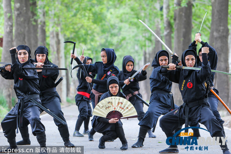 盤點(diǎn)各國神奇功夫 武林爭霸誰與爭鋒(高清組圖)
